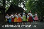 Mezinárodní armádní festival Rožnovská Valaška