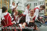 Mezinárodní folklorní festival Folklor bez hranic