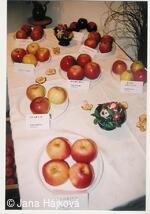 Podzimní výstava - pořádá Klub zahradkářů Trnávka