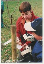 Výsadba stromů v rámci programu "Strom života"
