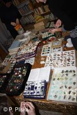 Obecní knihovna Petřvald